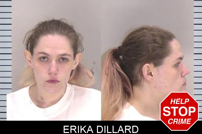 Erika Dillard mugshot
