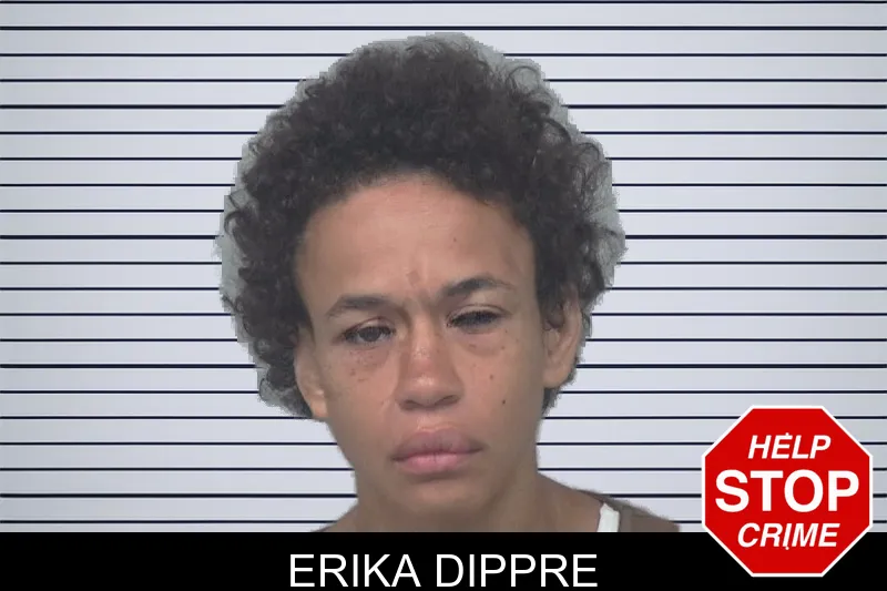 Erika Dippre mugshot