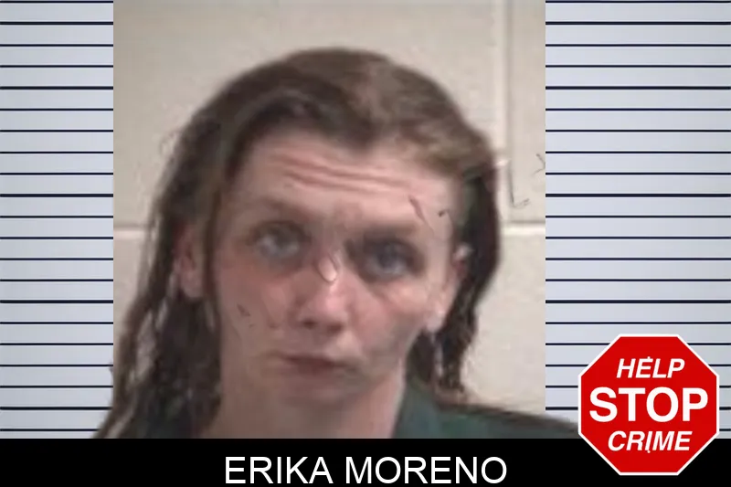 Erika Moreno mugshot