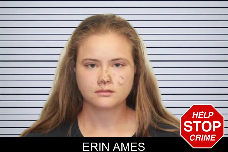 Erin Ames mugshot