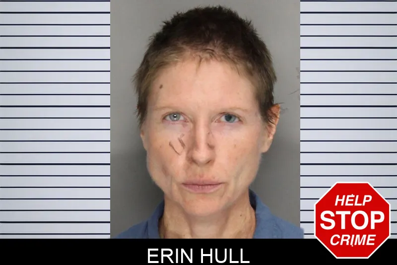 Erin Hull mugshot