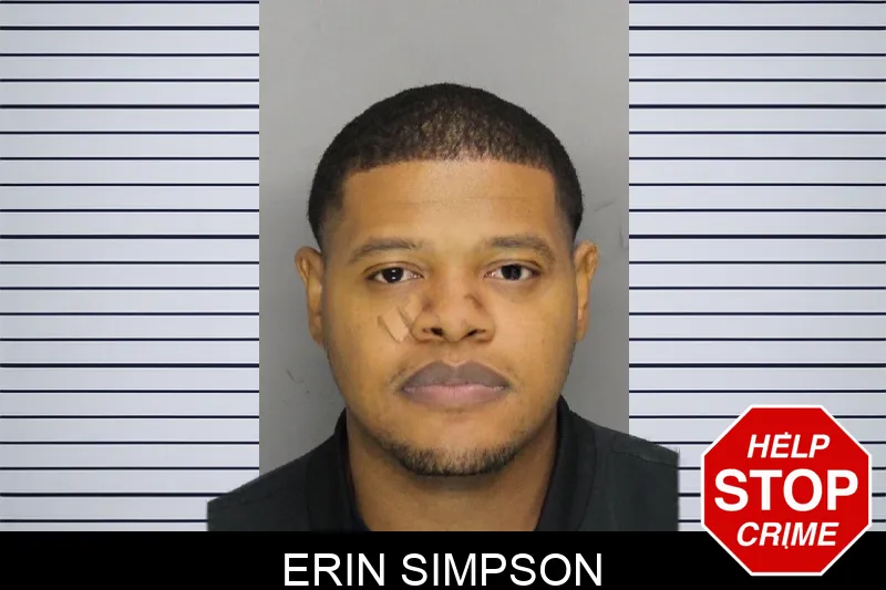 Erin Simpson mugshot