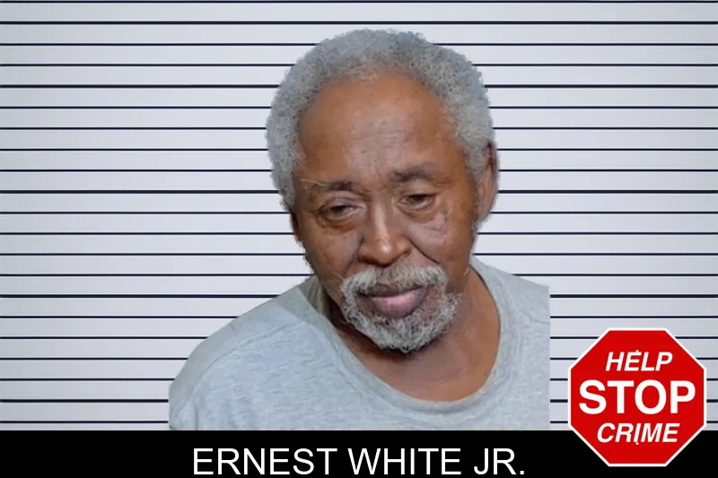 Ernest White Jr. mugshot