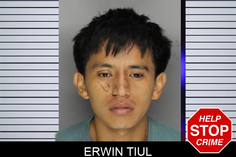 Erwin Tiul mugshot – Cobb County , Georgia Erwin Tiul mugshot