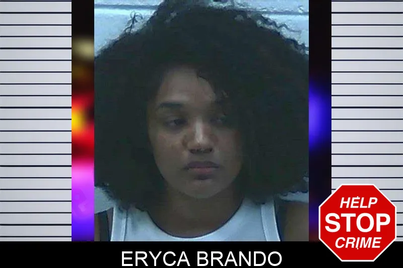 Eryca Brando mugshot