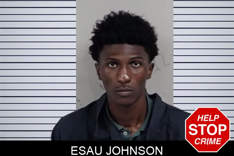 Esau Johnson mugshot