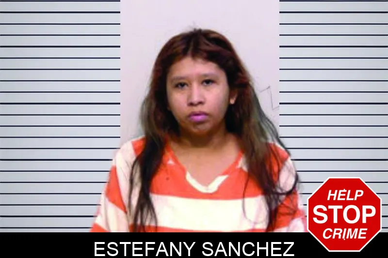 Estefany Sanchez mugshot