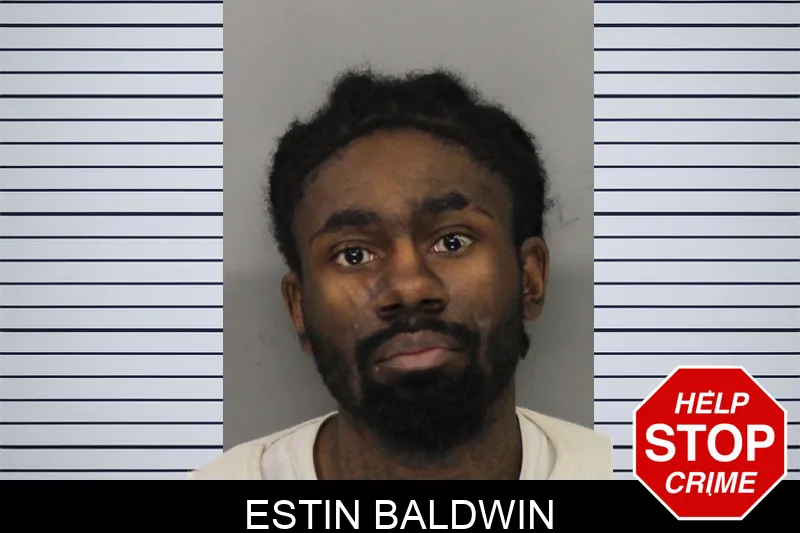 Estin Baldwin mugshot – Cobb County , Georgia Estin Baldwin mugshot