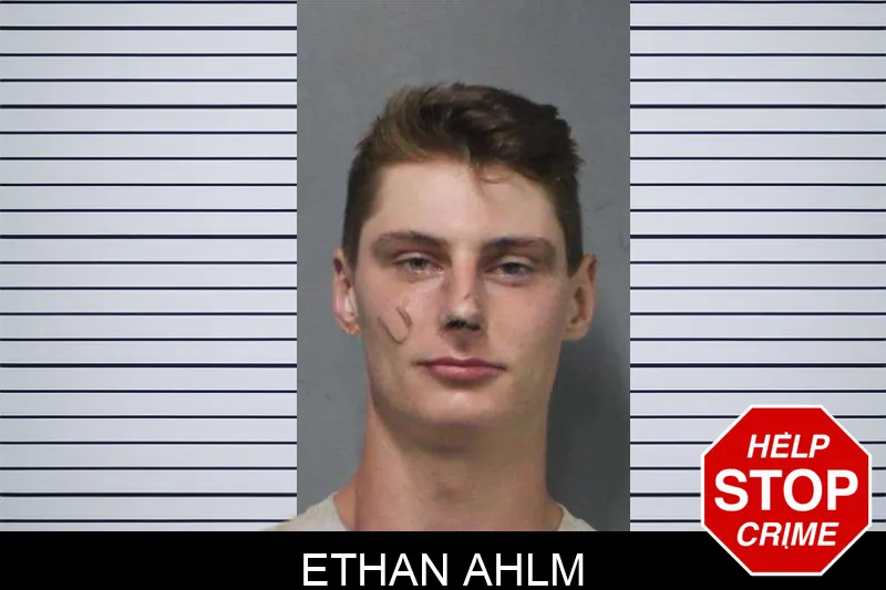Ethan Ahlm mugshot – White County , Georgia Ethan Ahlm mugshot