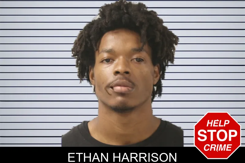 Ethan Harrison mugshot – Toombs County , Georgia Ethan Harrison mugshot