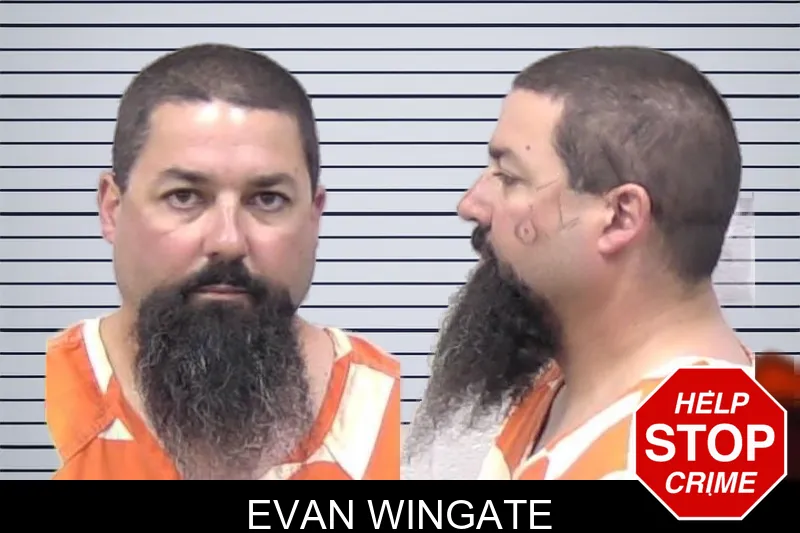 Evan Wingate mugshot