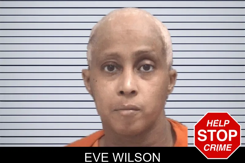 Eve Wilson mugshot – Columbia County , Georgia Eve Wilson mugshot