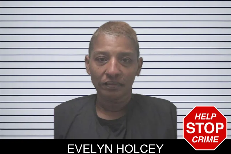Evelyn Holcey mugshot