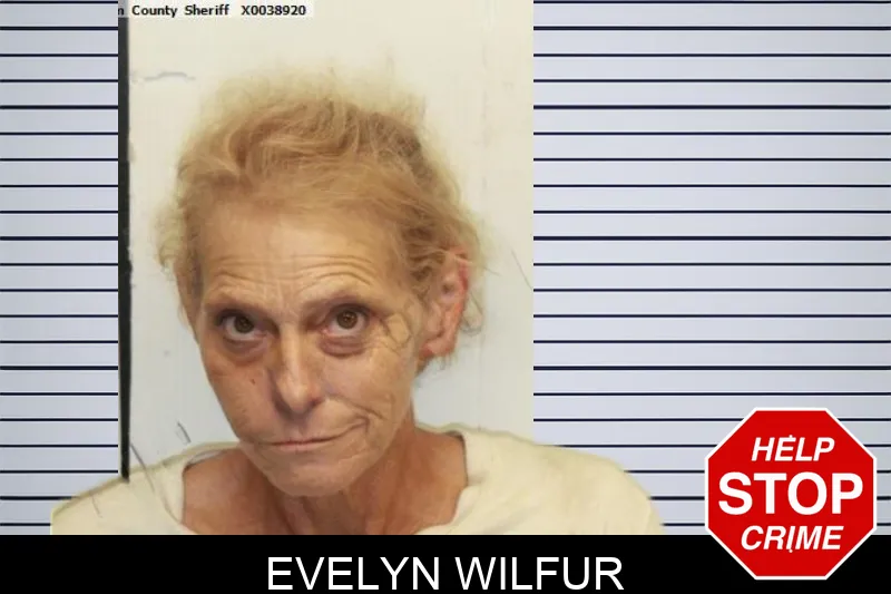 Evelyn Wilfur mugshot
