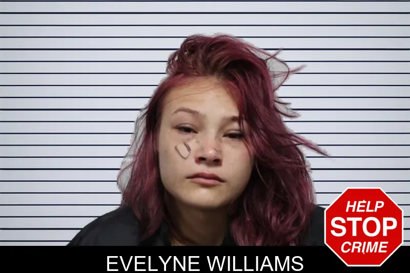 Evelyne Williams mugshot