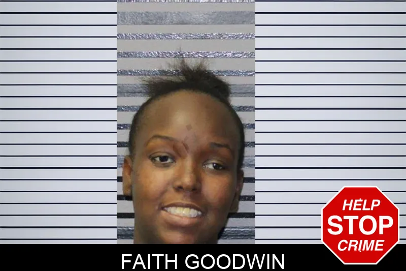 Faith Goodwin mugshot