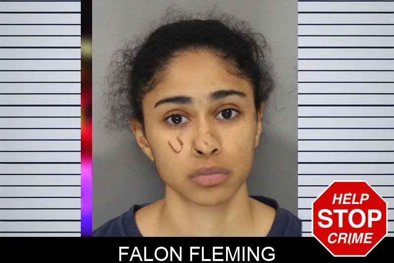 Falon Fleming mugshot