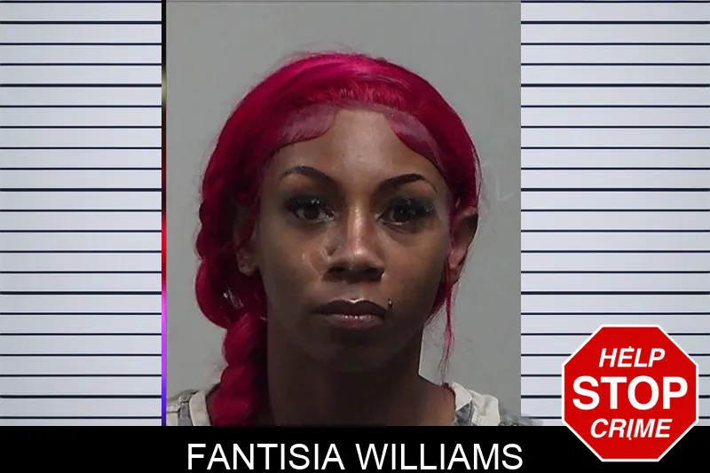 Fantisia Williams mugshot