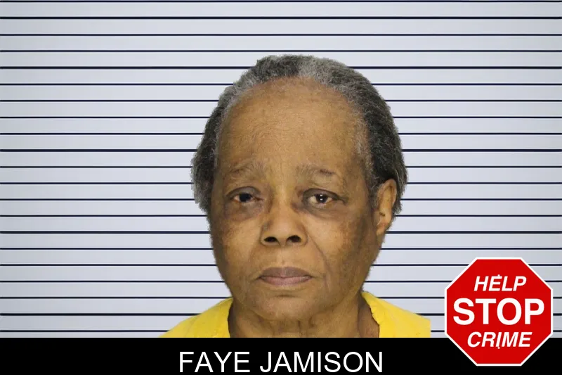 Faye Jamison mugshot