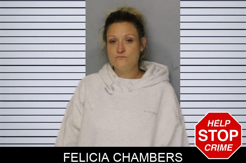 Felicia Chambers mugshot