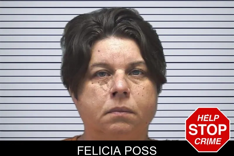 Felicia Poss mugshot – Cherokee County , Georgia Felicia Poss mugshot