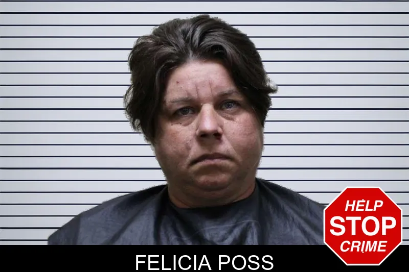 Felicia Poss mugshot