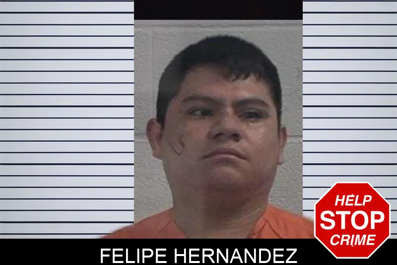 Felipe Hernandez mugshot