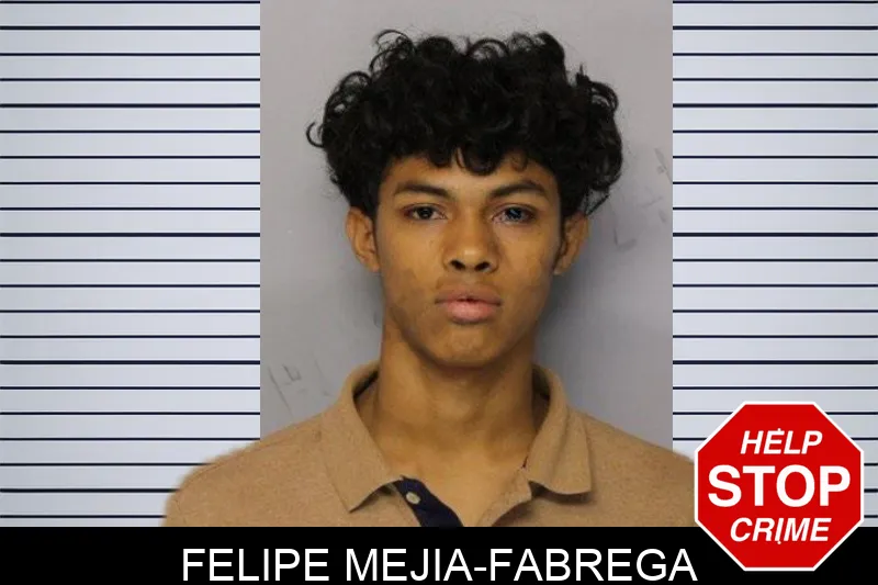 Felipe Mejia-Fabrega mugshot