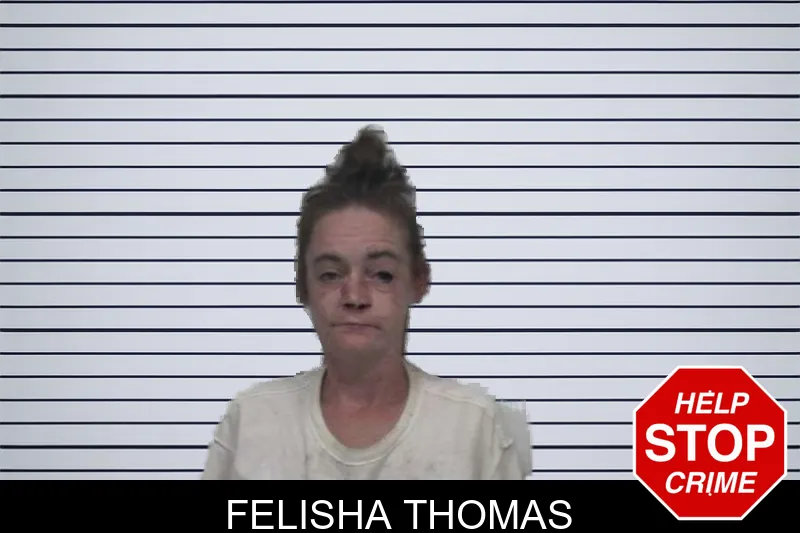 Felisha Thomas mugshot