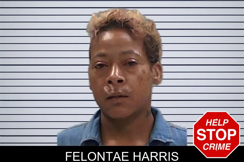 Felontae Harris mugshot – Baldwin County , Georgia Felontae Harris mugshot