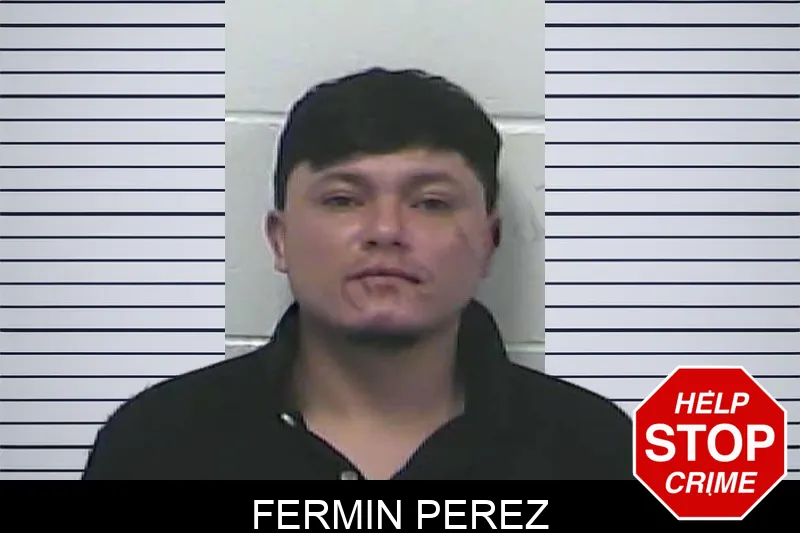 Fermin Perez mugshot