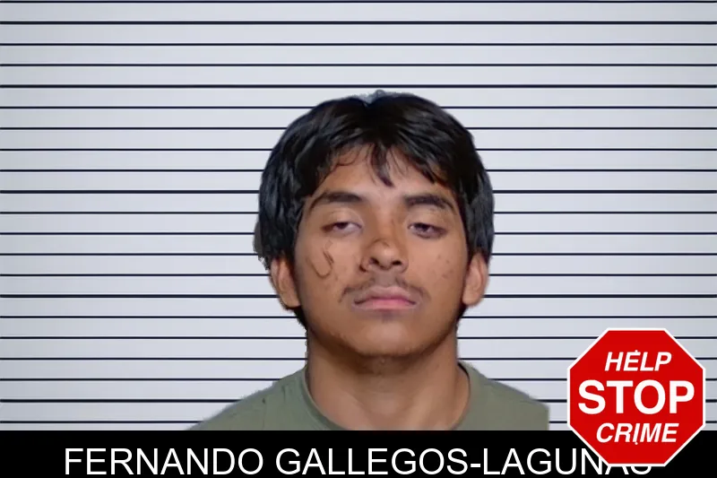 Fernando Gallegos-Lagunas mugshot – Glynn County , Georgia Fernando Gallegos-Lagunas mugshot