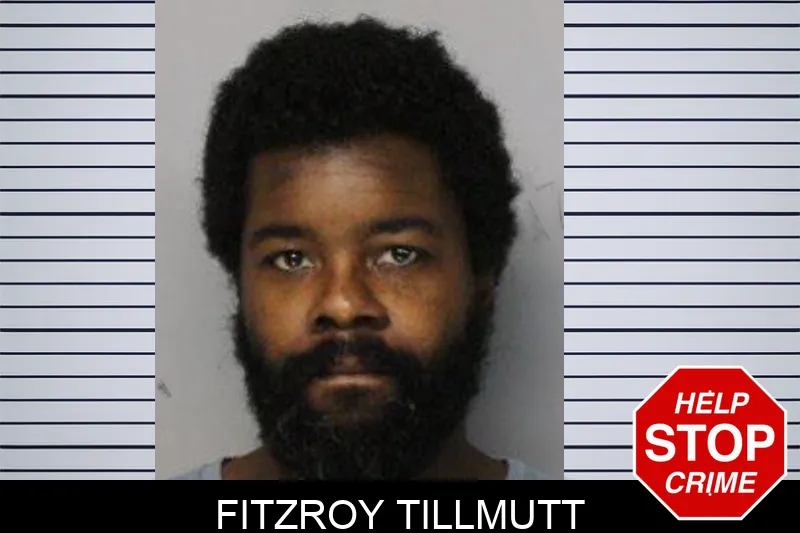 Fitzroy Tillmutt mugshot – Hall County , Georgia Fitzroy Tillmutt mugshot