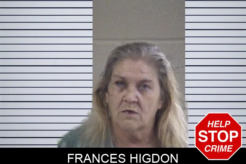 Frances Higdon mugshot – Whitfield County , Georgia Frances Higdon mugshot