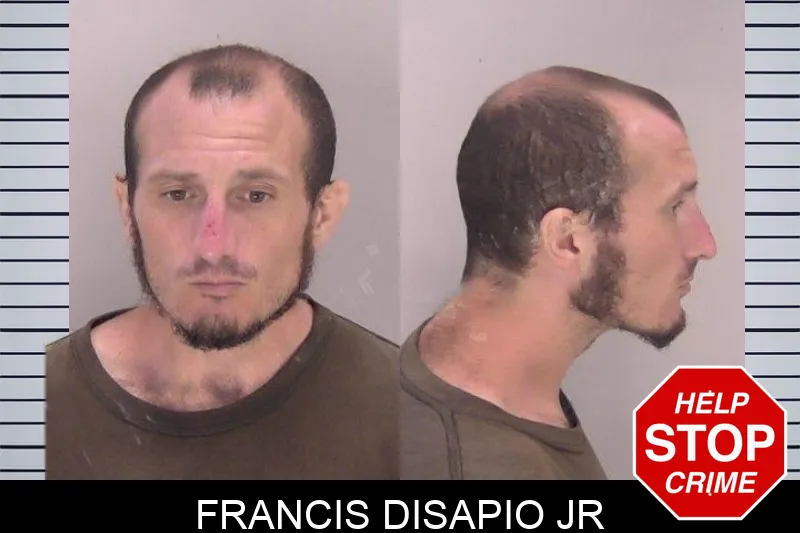 Francis Disapio Jr mugshot – Richmond County , Georgia Francis Disapio Jr mugshot