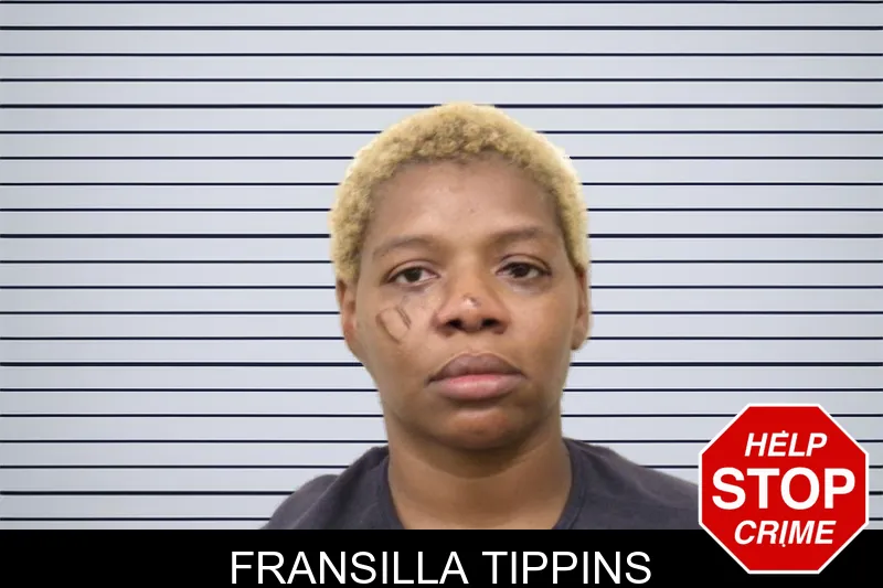 Fransilla Tippins mugshot