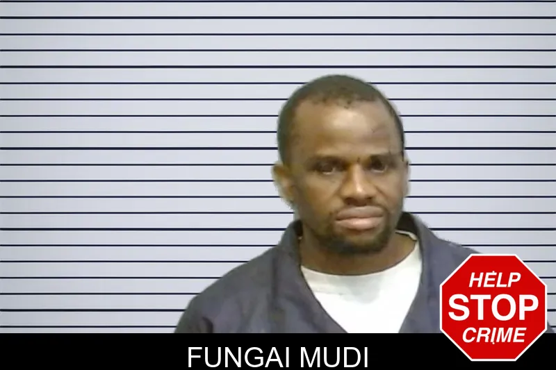 Fungai Mudi mugshot