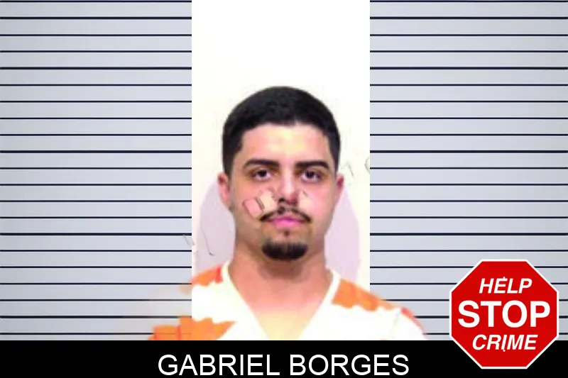 Gabriel Borges mugshot – Bartow County , Georgia Gabriel Borges mugshot