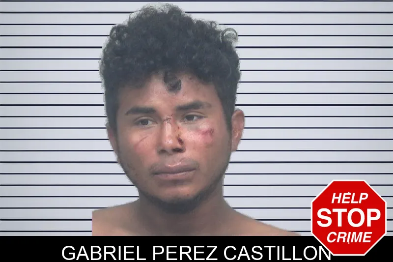 Gabriel Perez Castillon mugshot