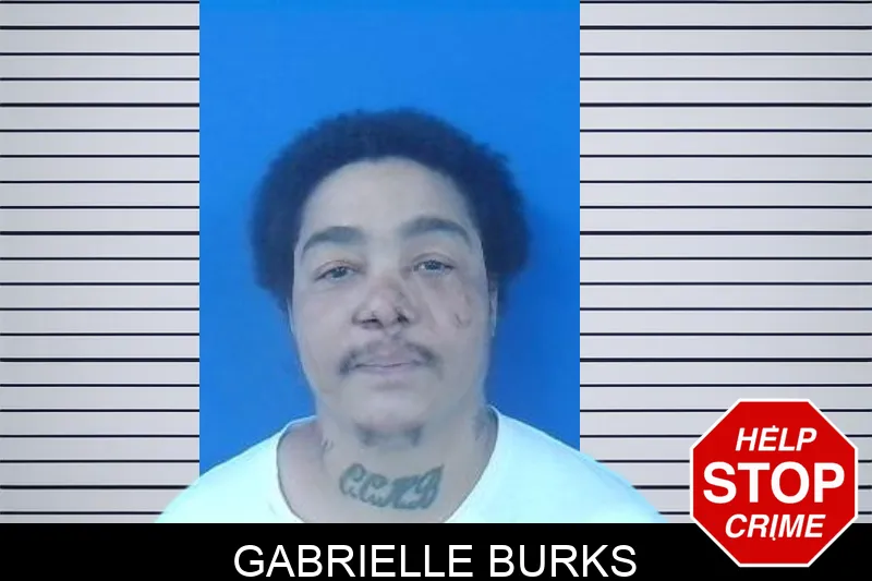 Gabrielle Burks mugshot
