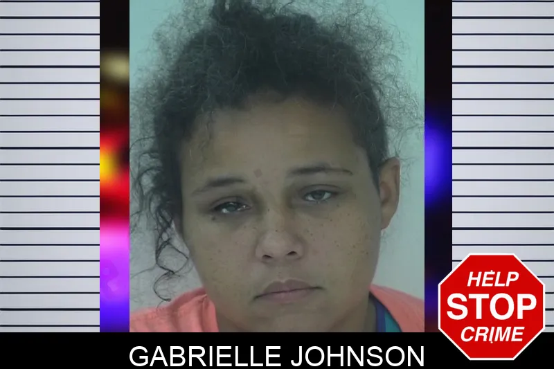 Gabrielle Johnson mugshot – Fayette County , Georgia Gabrielle Johnson mugshot