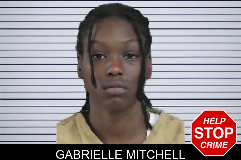 Gabrielle Mitchell mugshot