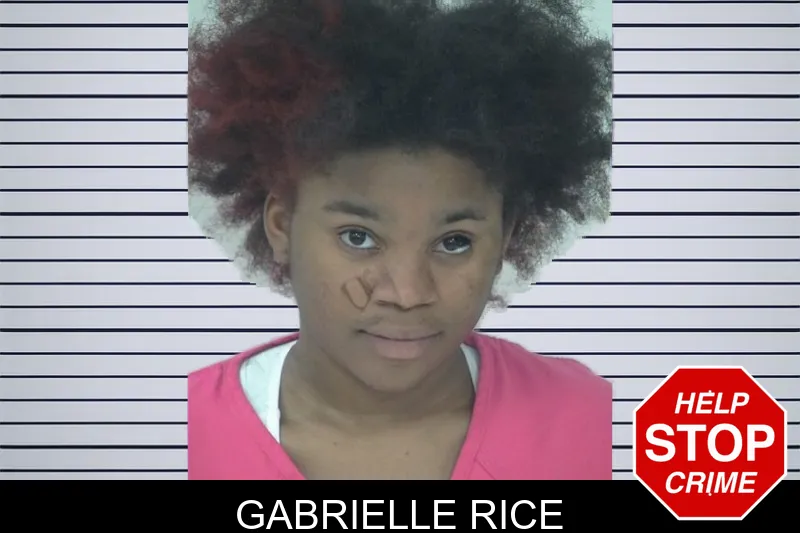 Gabrielle Rice mugshot