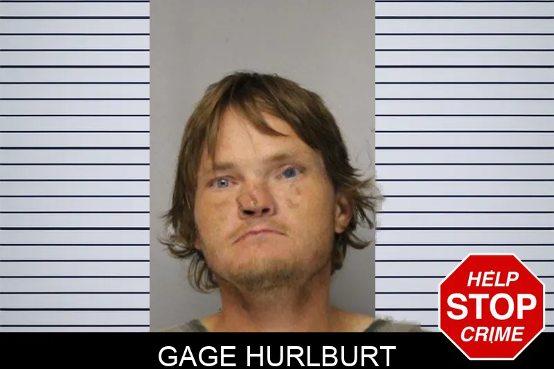 Gage Hurlburt mugshot – Hall County , Georgia Gage Hurlburt mugshot