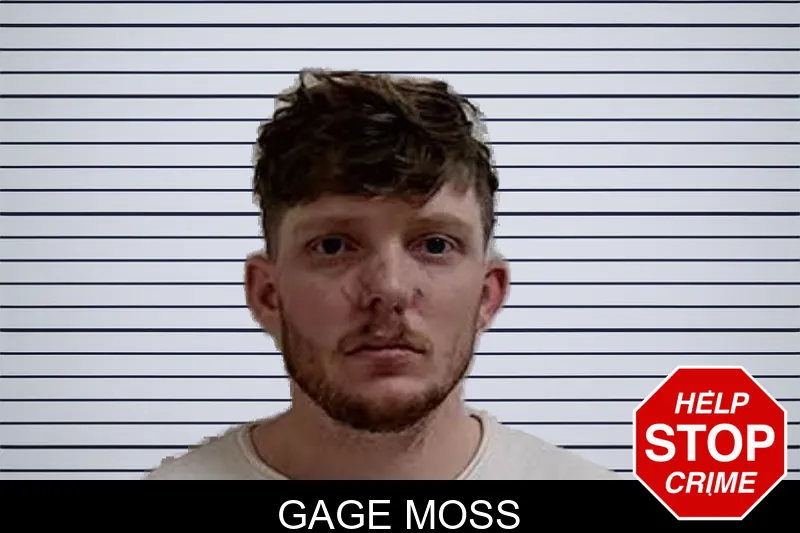 Gage Moss mugshot