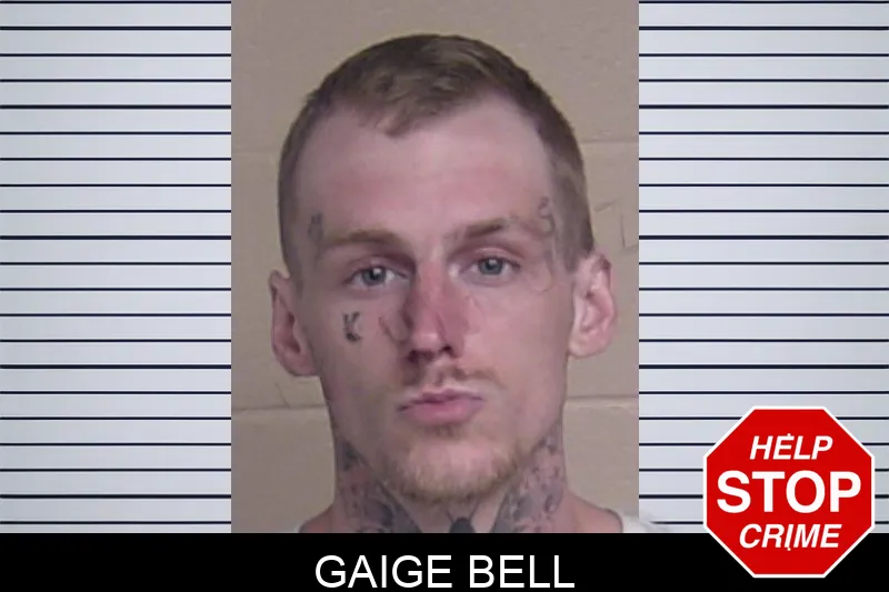 Gaige Bell mugshot