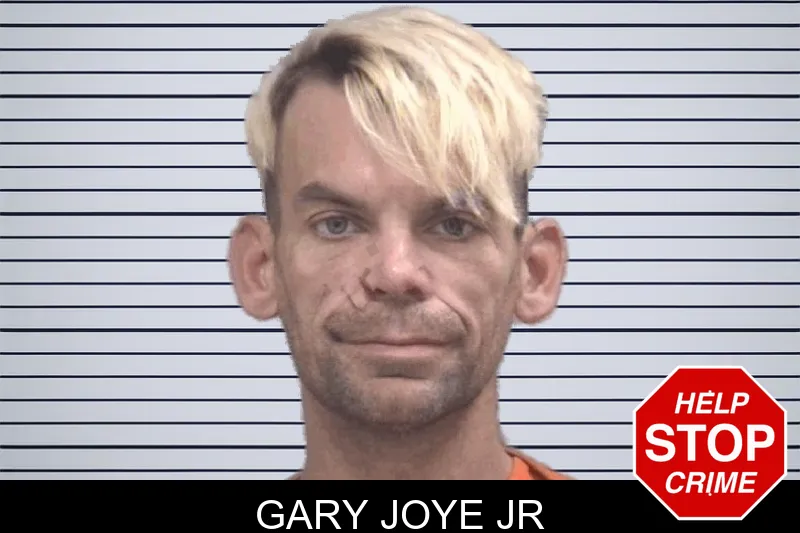 Gary Joye Jr mugshot