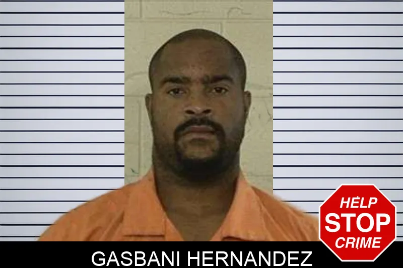 Gasbani Hernandez mugshot