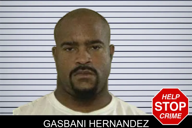 Gasbani Hernandez mugshot