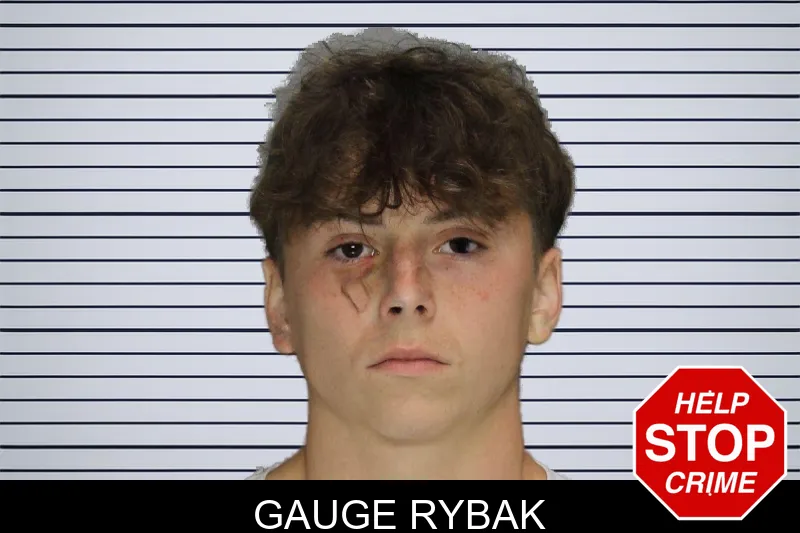 Gauge Rybak mugshot